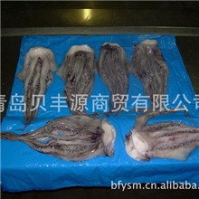 长期供应秘鲁鱿鱼