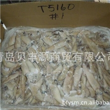 长期供应美国加州笔管鱼