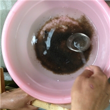 黄颡鱼繁殖期间，大量供应黄颡鱼水花