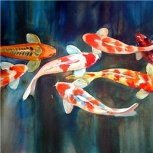 供应各种规格锦鲤（量大送货上门，仅限重庆）