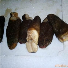 象贝肉去皮贝肉红毛蟹纹贝黄贝雪蟹鳕蟹