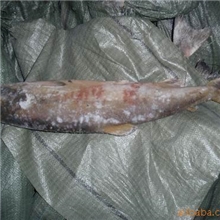 自俄罗斯大马哈鱼三文鱼鱿鱼干鱿鱼雪蟹