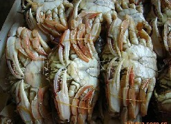 石蟹大批量下单