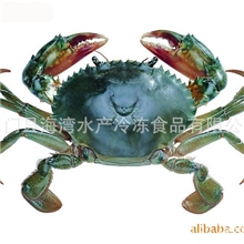 三门青蟹厂家供应正宗三门青蟹2斤装三门海鲜青蟹雌雄各两只