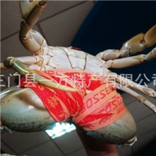 供应鲜活海鲜三门青蟹，自有养殖基地