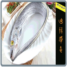 冷冻带鱼/迪拜白带鱼进口水产品/海鲜冷冻水产品带鱼批发