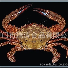 批发供应黑蟹冷冻黑蟹/螃蟹冷冻海鲜水产品