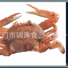 扁蟹【优质冻海鲜】冷冻水产品螃蟹/梭子蟹批发