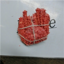 冷冻水产品海产品海鲜批发熟冻帝王蟹