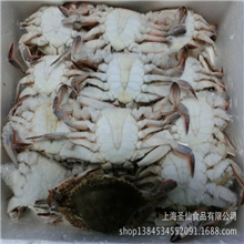 冷冻水产品海产品海鲜批发冷冻梭子蟹