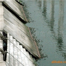 供应黄河甲鱼商品。甲鱼苗子。甲鱼蛋。