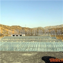 供应商品甲鱼，甲鱼苗、甲鱼蛋(图)