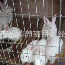 供应兔笼9位兔笼兔子笼