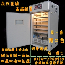 供应永兴牌山鸡、鹅、鸽子全自动原装的孵化机