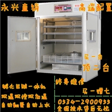 供应永兴牌专业原装全自动土鸡、鸭子、孵化机