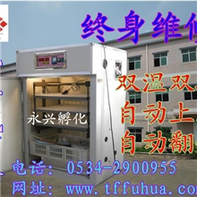 【永兴牌全自动小型孵化机】家禽珍禽孵化器土鸡孵化机岀雏框