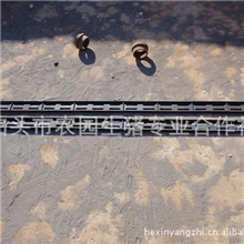 批量供应母猪产床配件类（花梁）养猪设备母猪产床产床母猪产