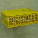 供应鸡笼厂坚固耐用的成鸡优质周转箱周转笼