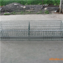 厂价直销育雏育成笼鸭育雏育成笼鹅育雏育成笼