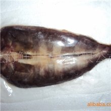 供应开片鱼〔六线鱼〕(图)进口水产品