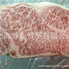 进口雪花牛肉A5雪花牛肉