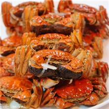 188.00元超值礼盒公蟹3.0两母蟹2.2两各4只