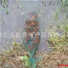 盱眙小龙虾直销代办托运全国最低价虾龙虾水产品小龙虾