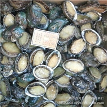 【显宏】冷冻水产品批发大连鲍鱼11-12头广州冻品批发