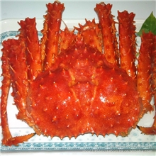 【显宏】冷冻粗加工水产品智利帝王蟹广州冻品批发