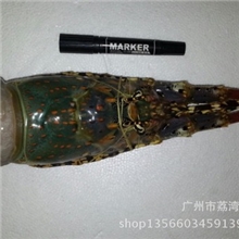 【显宏】冷冻粗加工水产品急冻花龙虾广州冻品批发