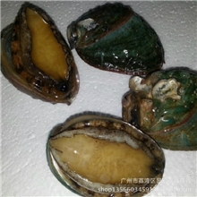 【显宏】冷冻粗加工水产品速冻大连鲍鱼广州冻品批发