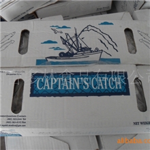 美国加州笔管鱿鱼/小鱿鱼仔