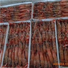 冰岛产/刺身海龙虾/海水乳龙虾