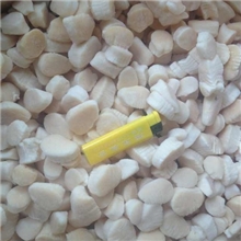 北极贝柱北极贝北极裙边