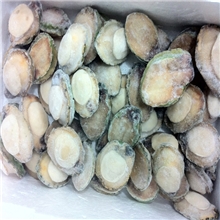 供应进口野生冰冻澳洲鲍鱼肉青边鲍酒店专用（澳大利亚）