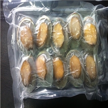 大连去脏去齿带壳国产小鲍鱼10头大连鲍