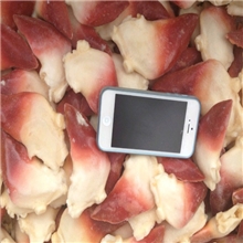 朝鲜单冻北极贝品相漂亮顶级优质