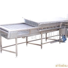 供应斜坡式网带清洗机其他各种食品机械设备