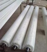 供应毛刷辊果蔬清洗毛刷辊