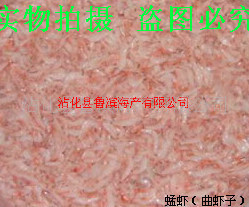 批发供应蜢虾蜢子虾蜢子虾酱原料（一般纳税人企业）