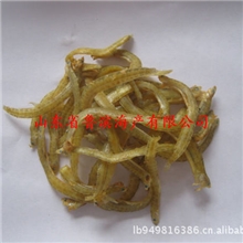 产地批发供应凤尾鱼（小泥鳅鱼）