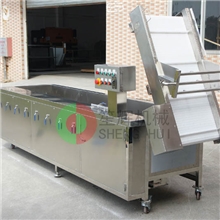 厂家直销全自动豪华型多功能洗菜机臭氧消毒