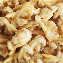 厂价直销黄蚬子黄海特产