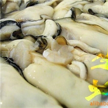 批发供应优质鲜活水产品美味新鲜生蚝肉
