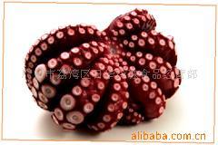 供应大八爪（刺身用）