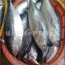 「特卖58000元」宗田鲣节、柴鱼片