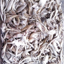 大量供应海泥鳅,沙溜杂！