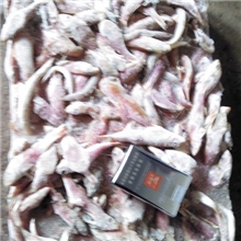 大量供应小杂鱼!!