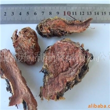 供应植物原药材红景天红景天段