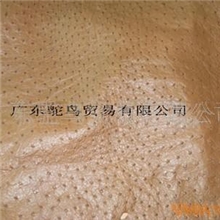 供应鸵鸟身皮皮革-小珍珠系列(图)
